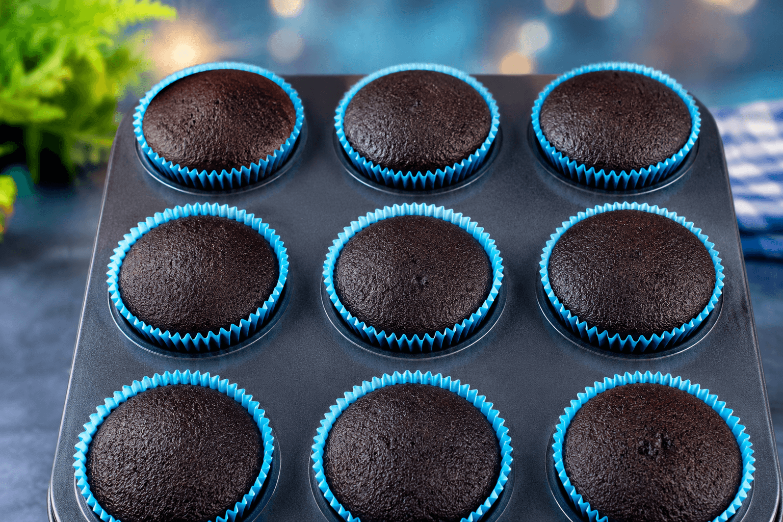 Cocoa Cupcake Trove